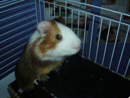 Jack